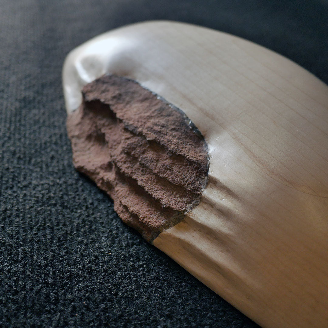 Set complet Landscape