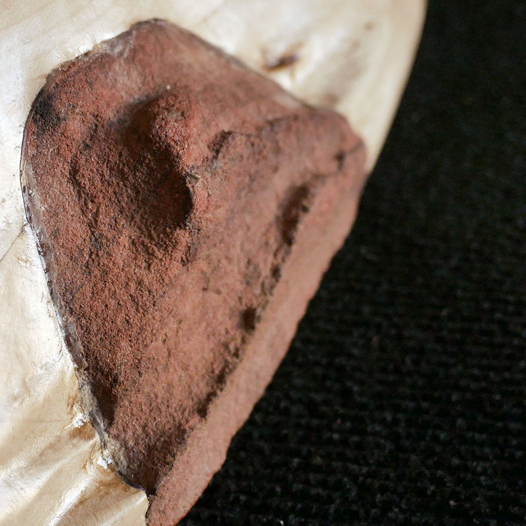 Set complet Landscape